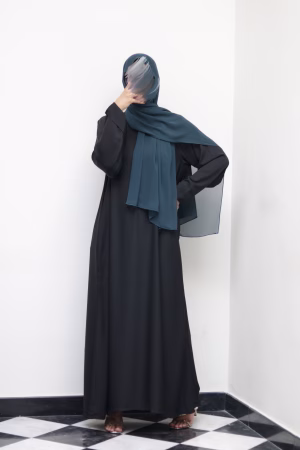 17231